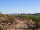 photo thumbnail #10