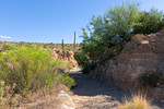 photo thumbnail #4