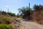 photo thumbnail #5