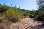 photo thumbnail #7