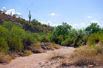 photo thumbnail #8