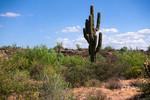 photo thumbnail #9