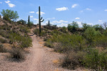photo thumbnail #12