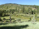 photo thumbnail #4