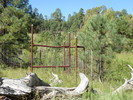 photo thumbnail #10