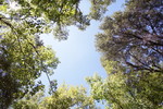 photo thumbnail #15