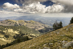 photo thumbnail #14