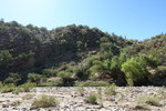 photo thumbnail #11