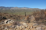 photo thumbnail #13