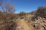 photo thumbnail #14