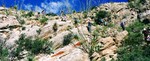 photo thumbnail #12