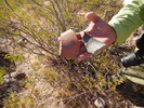 photo thumbnail #3