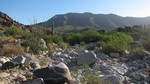 photo thumbnail #14