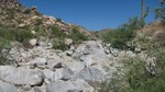 photo thumbnail #15