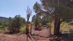 photo thumbnail #8