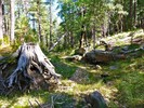 photo thumbnail #4