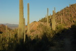 photo thumbnail #5