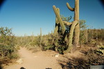photo thumbnail #1