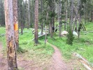 photo thumbnail #9