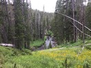 photo thumbnail #11