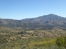 photo thumbnail #7
