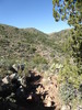 photo thumbnail #9