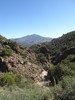 photo thumbnail #11