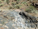 photo thumbnail #15