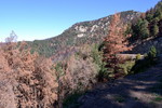 photo thumbnail #1