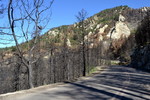 photo thumbnail #2