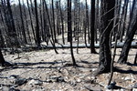 photo thumbnail #10