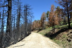 photo thumbnail #9