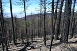 photo thumbnail #12
