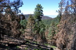 photo thumbnail #14
