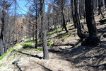 photo thumbnail #15
