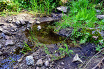 photo thumbnail #13