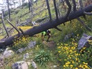photo thumbnail #3