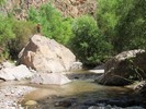 photo thumbnail #12