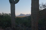 photo thumbnail #4