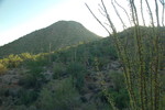 photo thumbnail #7