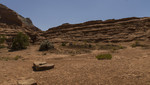 photo thumbnail #6