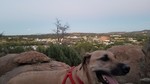 photo thumbnail #3