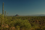 photo thumbnail #12