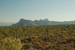 photo thumbnail #13
