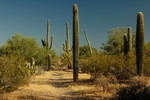 photo thumbnail #14
