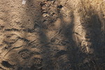 photo thumbnail #15