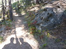 photo thumbnail #4