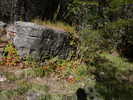 photo thumbnail #5