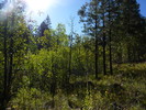 photo thumbnail #6