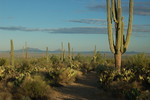 photo thumbnail #3